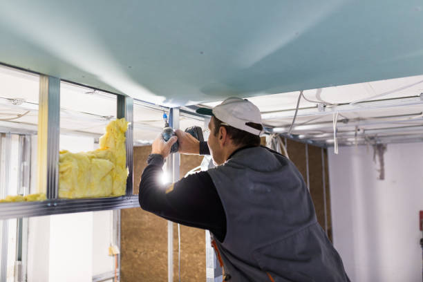 Best Attic Insulation Installation  in Fremont, NC