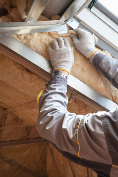 Best Spray Foam Insulation  in Fremont, NC