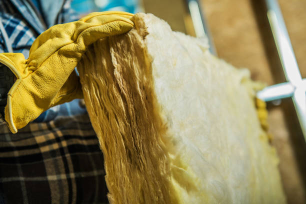 Best Wall Insulation Contractor  in Fremont, NC