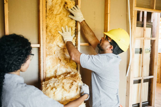 Best Insulation Repair Services  in Fremont, NC
