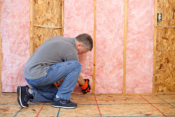 Best Attic Insulation Installation  in Fremont, NC
