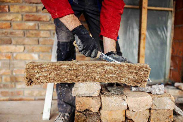 Best Fiberglass Insulation  in Fremont, NC