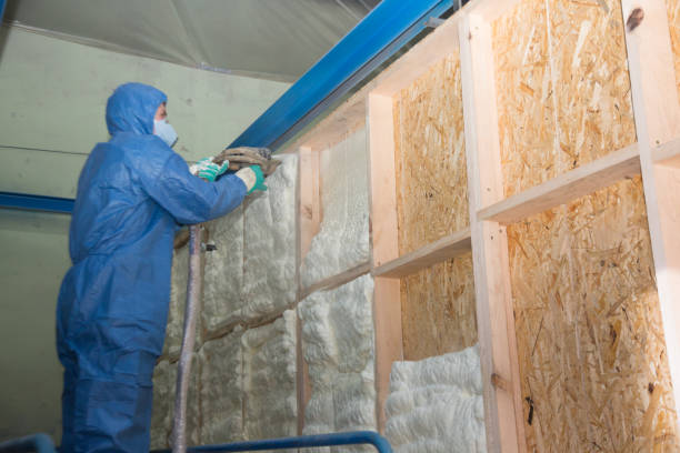 Best Insulation Installation Cost  in Fremont, NC
