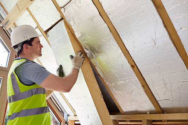 Best Professional Insulation Contractor  in Fremont, NC