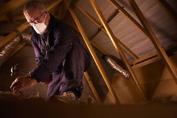 Best Best Insulation Companies  in Fremont, NC